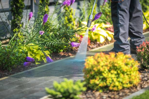 Best Warehouse Cleaning  in Palos Verdes Estates, CA